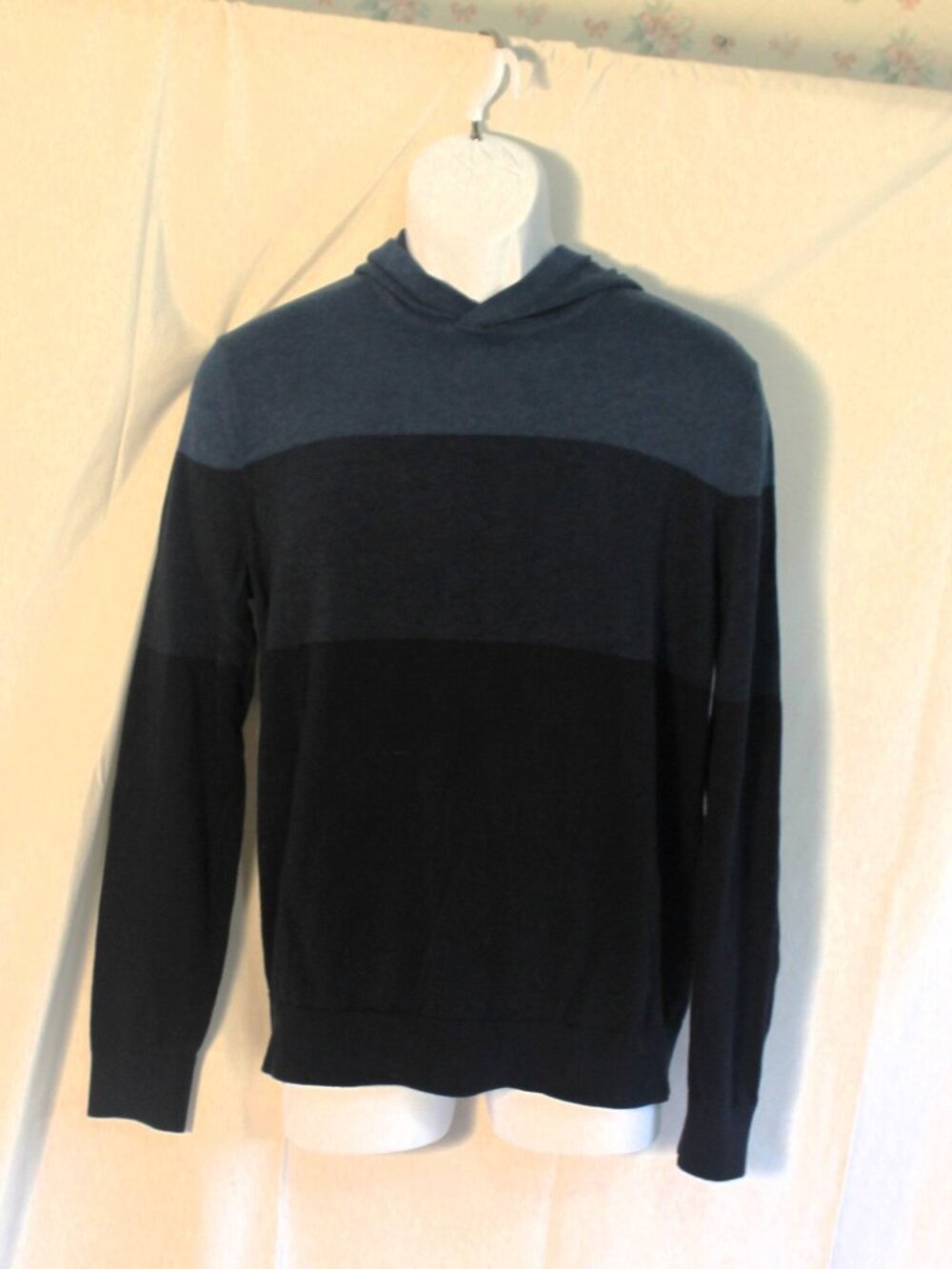 Banana Republic Men' Supima Cotton Hooded Pullover Sweater, Blue Stripes, Medium